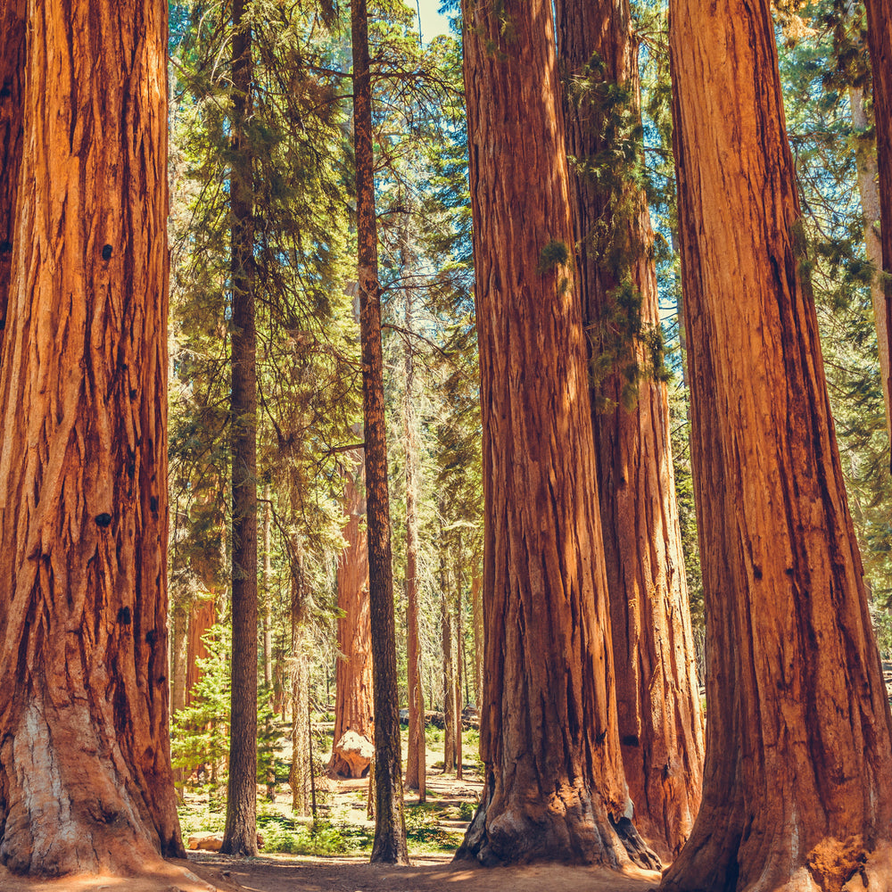 Nachhaltigkeit beginnt da, wo Dinge lange halten